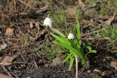 Similar image 21399701