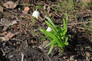 Similar image 21399702