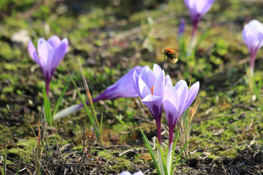 Similar image 21399706