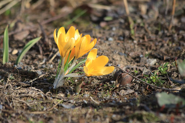 Similar image 21399707