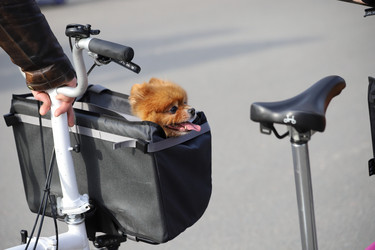 Similar image 21399710