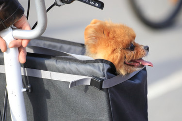 Similar image 21399712