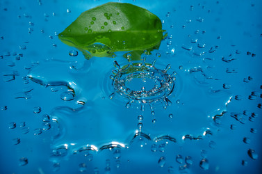 Similar image 21399361