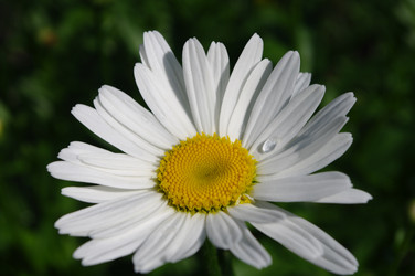 Similar image 21399363