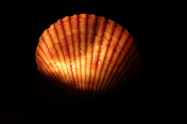 Similar image 21399367