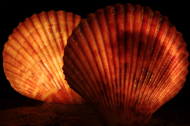 Similar image 21399369