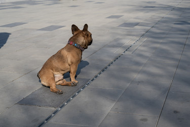 Similar image 21399212