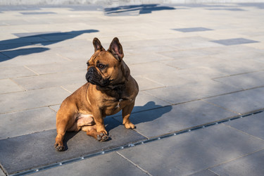 Similar image 21399213