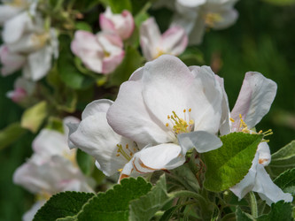 Similar image 21399738