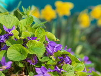 Similar image 21399739