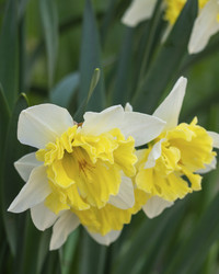 Similar image 21399740