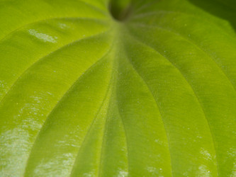 Similar image 21399741