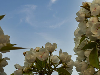 Similar image 21399744