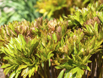 Similar image 21399747