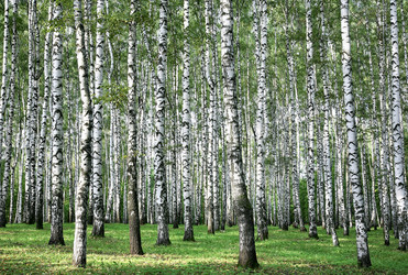 Similar image 21399217