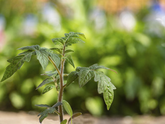 Similar image 21399753