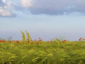 Similar image 21399756