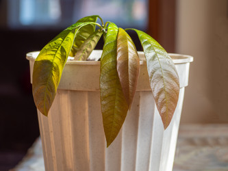 Similar image 21399760