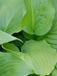 Similar image 21399761