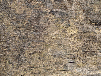 Similar image 21399762