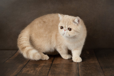 Similar image 21399220