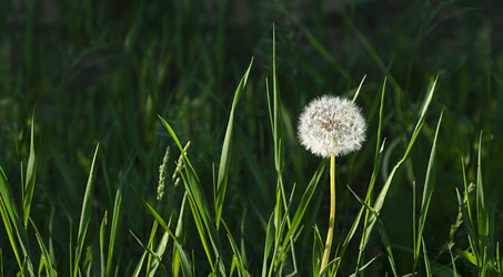 Similar image 21399224