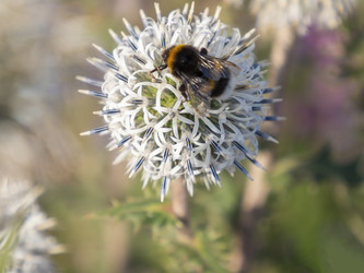 Similar image 21425550