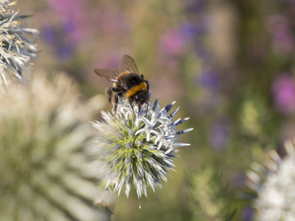 Similar image 21425551