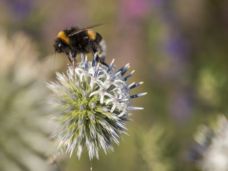 Similar image 21425552