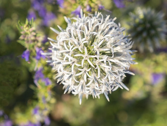 Similar image 21425553