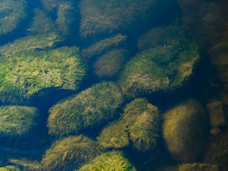 Similar image 21425558