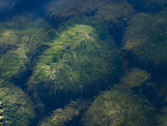 Similar image 21425560