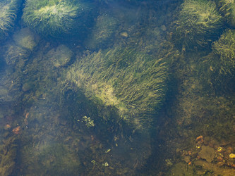 Similar image 21425561