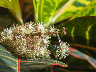 Similar image 21425568