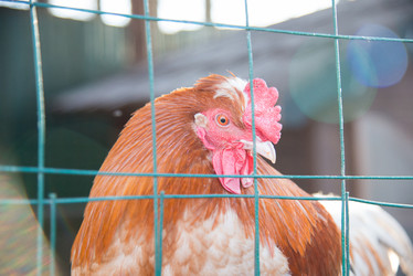 Similar image 21399333