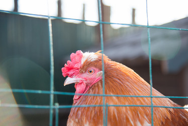 Similar image 21399334