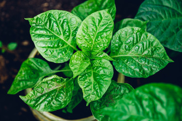 Similar image 21403566