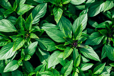 Similar image 21403570