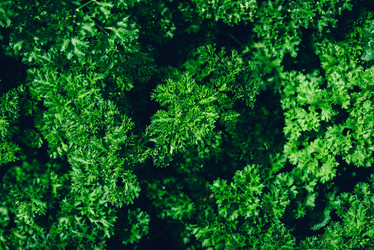 Similar image 21403608