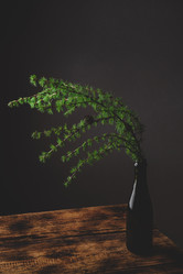 Similar image 21405111