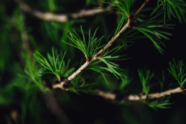 Similar image 21403635