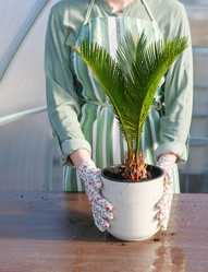 Similar image 21400086