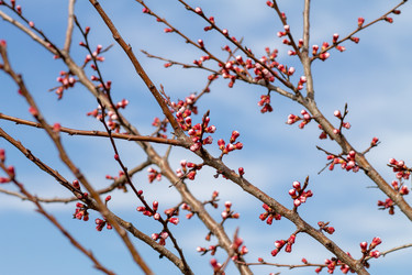 Similar image 21430983