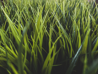 Similar image 21430985