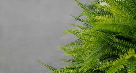 Similar image 21430986