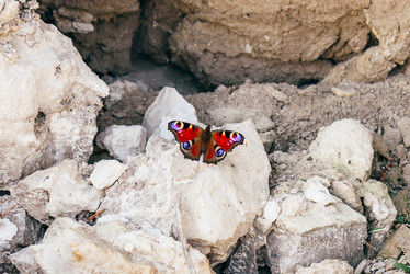 Similar image 21403817