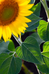 Similar image 21430994