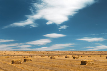 Similar image 21430995