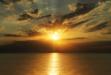 Similar image 21431000