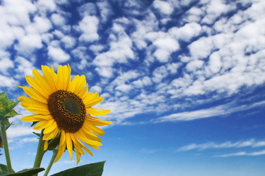 Similar image 21431002